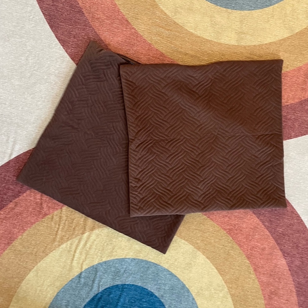 Set of 2 20” x 20” Pillow Covers